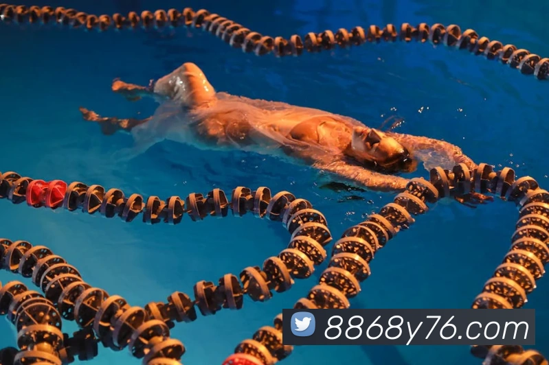 8868体育品牌故事